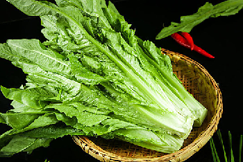 油麦菜