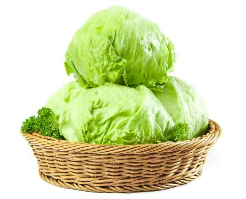 生菜球